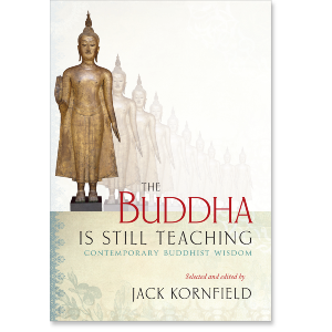 The Buddha Is Still Teaching