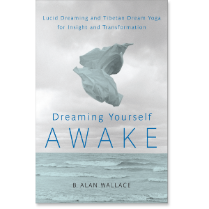 Dreaming Yourself Awake