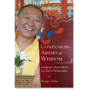 Confusion Arises as Wisdom