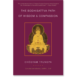 The Bodhisattva Path of Wisdom and Compassion (volume 2)