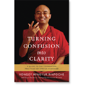 Turning Confusion into Clarity