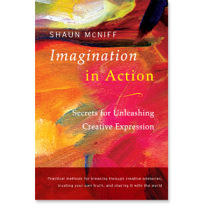 Imagination in Action