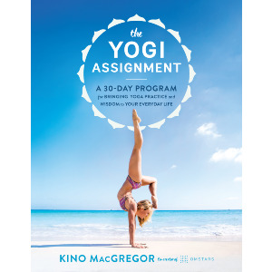 The Yogi Assignment