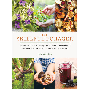 The Skillful Forager