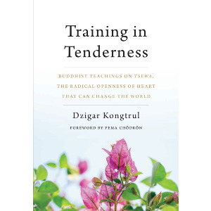 Training in Tenderness