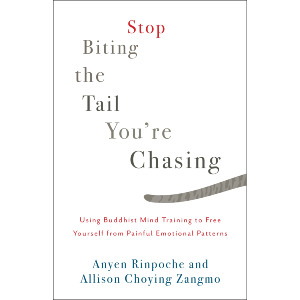 Stop Biting the Tail You’re Chasing