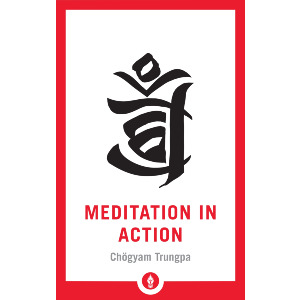 Meditation in Action
