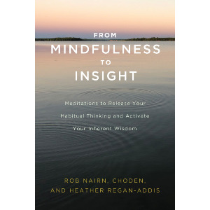 From Mindfulness to Insight