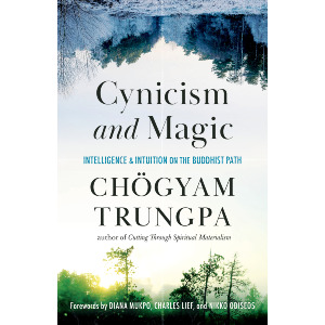 Cynicism and Magic