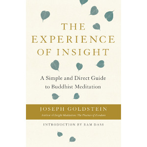 The Experience of Insight