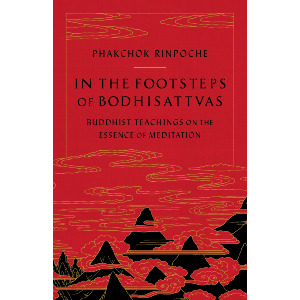 In the Footsteps of Bodhisattvas