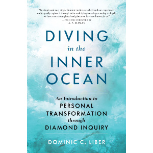 Diving in the Inner Ocean