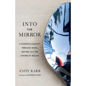 Into the Mirror