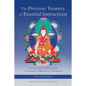 The Precious Treasury of Essential Instructions
