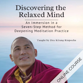 Discovering the Relaxed Mind