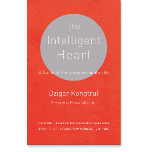The Intelligent Heart