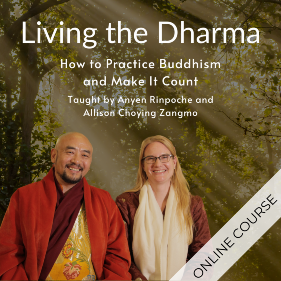 Living the Dharma