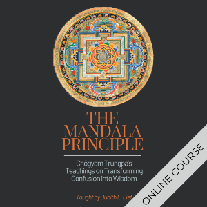 The Mandala Principle