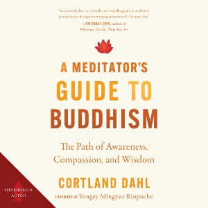 A Meditators Guide to Buddhism