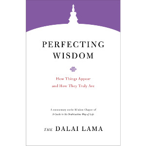 Perfecting Wisdom