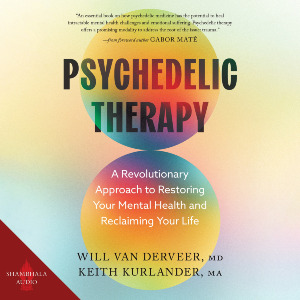 Psychedelic Therapy