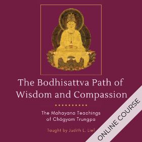 The Bodhisattva Path of Wisdom and Compassion