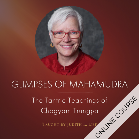 Glimpses of Mahamudra