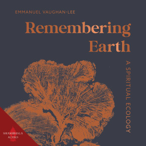Remembering Earth