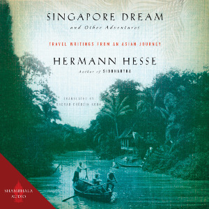 Singapore Dream and Other Adventures