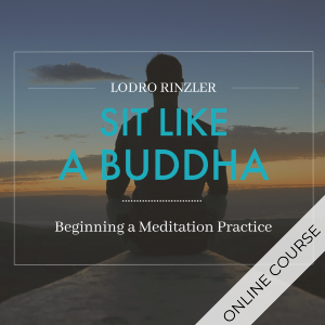 Sit Like a Buddha